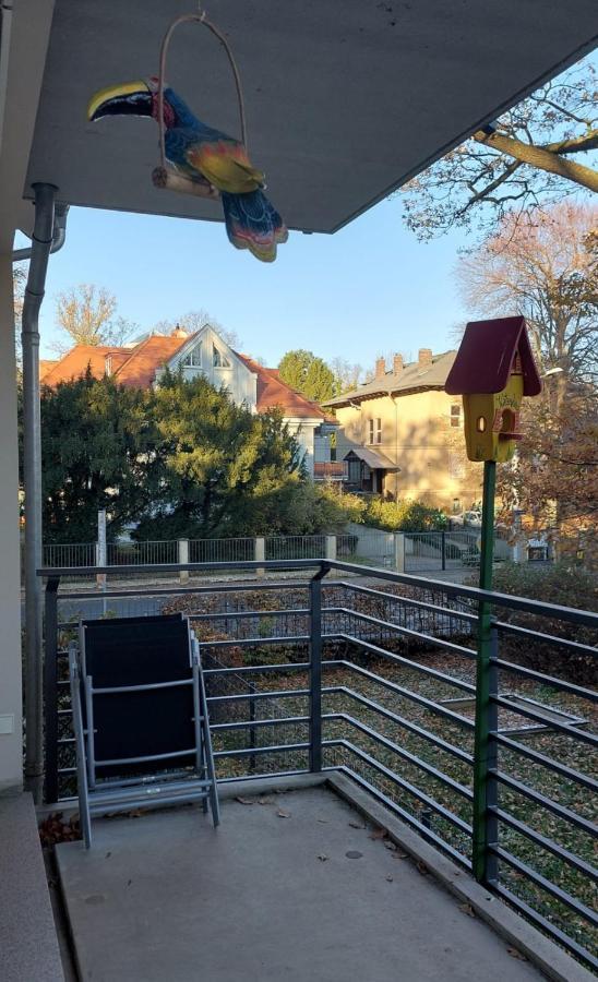 Stilvolle Wohnung In Elbnaehe Mit Balkon, Parkplatz Dresden Exterior foto